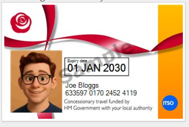 Bus pass example