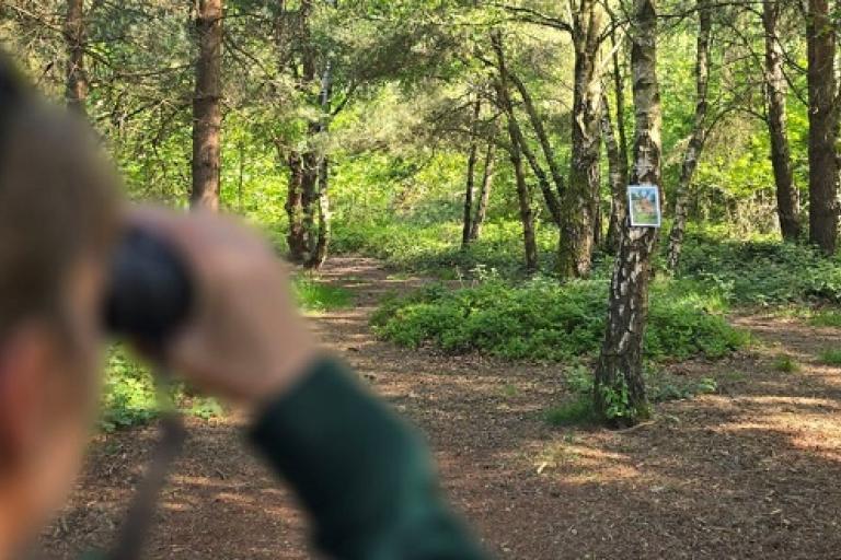 Scavenger Hunt newsroom