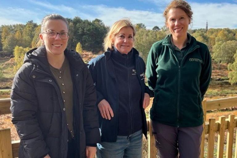 Brindley Heath viewing platform NEWSROOM