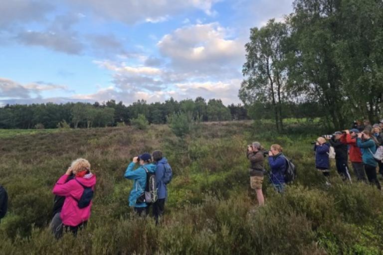 Guided Birdwalk NEWSROOM