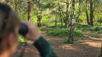 Scavenger Hunt newsroom