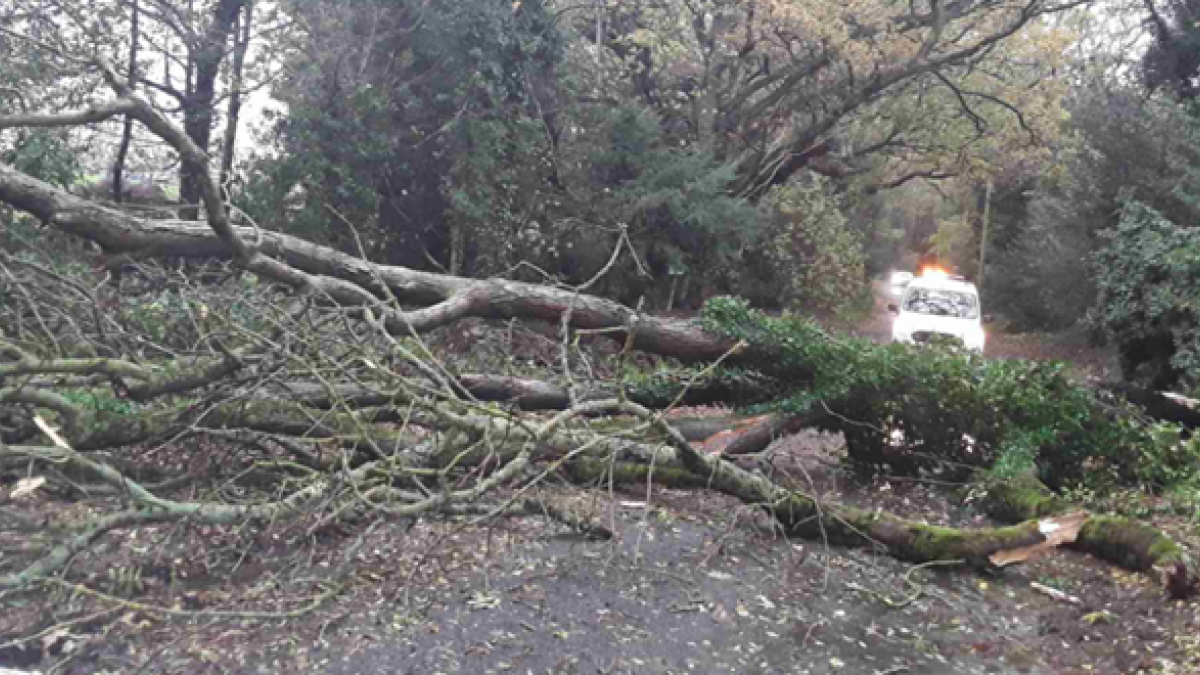 Sugar Loaf Lane, Iverly (e)