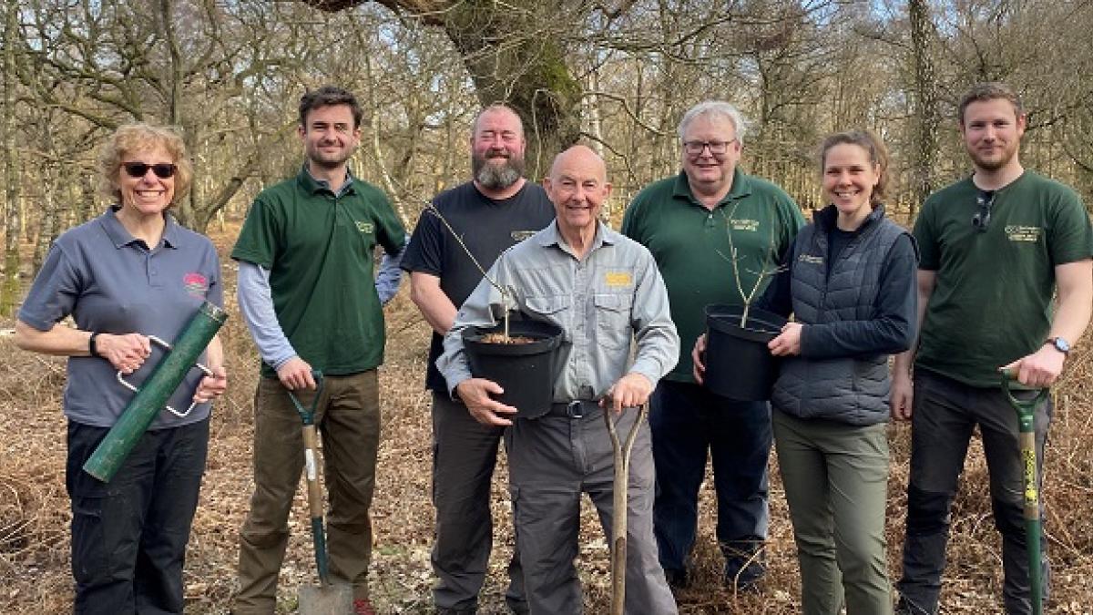 Tree planting Brocton Coppice NEWSROOM